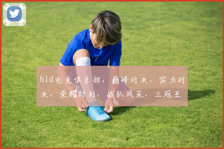 bld电竞俱乐部，巅峰对决，实力对决，荣耀时刻，战队风采，三冠王归来