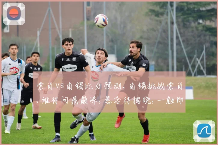 索肖vs南锡比分预测,南锡挑战索肖,谁将问鼎巅峰,悬念待揭晓,一触即发。