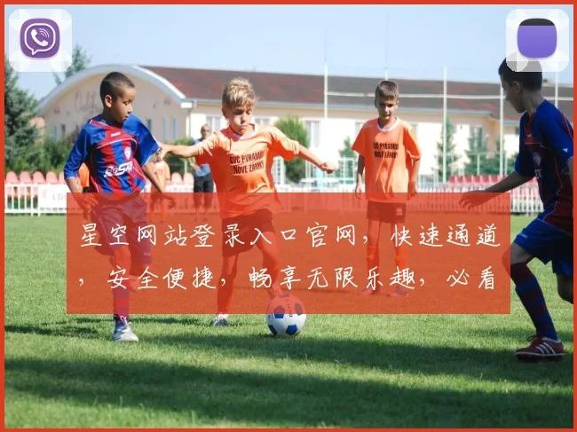 星空网站登录入口官网，快速通道，安全便捷，畅享无限乐趣，必看攻略