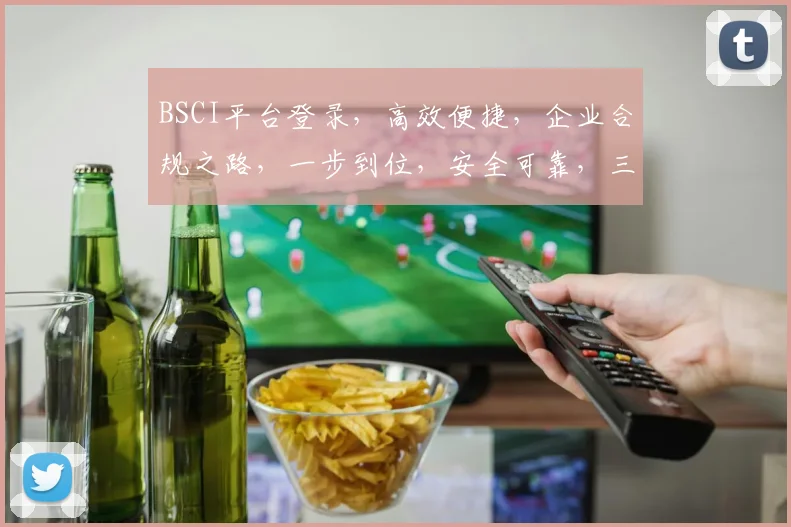 BSCI平台登录，高效便捷，企业合规之路，一步到位，安全可靠，三步即可